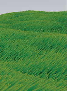 Without distance blending